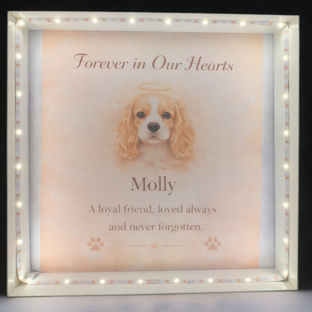 Pet Memorial Light-Up Frame